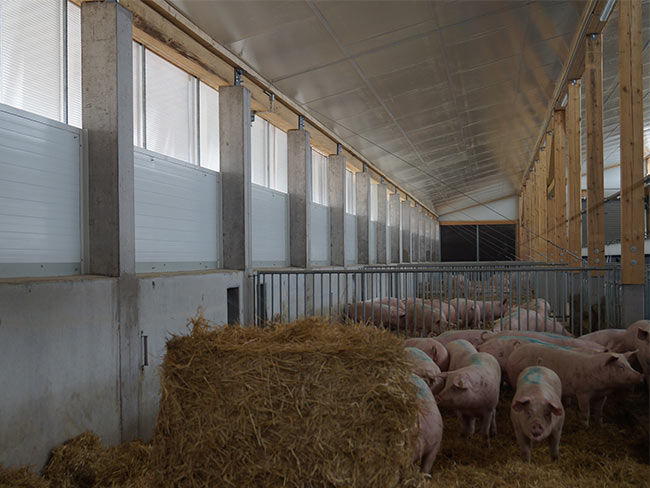 Aufzucht ältere Gruppe, gedämmt Betonwand, Sandwich und Hubfenster, Decke gedämmt