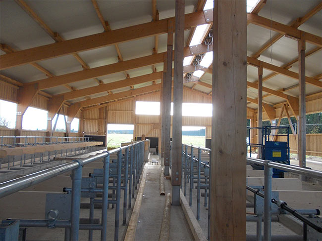 Milchviehstall mit Binder und Sandwichdacheindechung