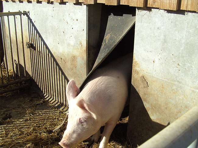 Betonwand mit Durchschlupf