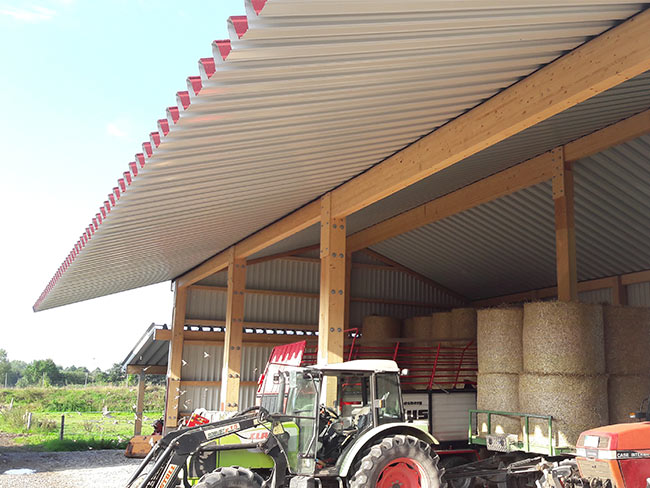 Grosses Vordach bis zu 4,25 m