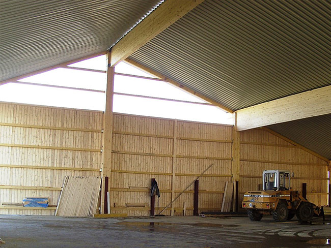 Pfettensystem mit weitgespanntem Trapezblech