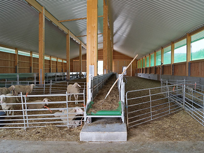 Haltung auf Lehm ohne Bodenplatte