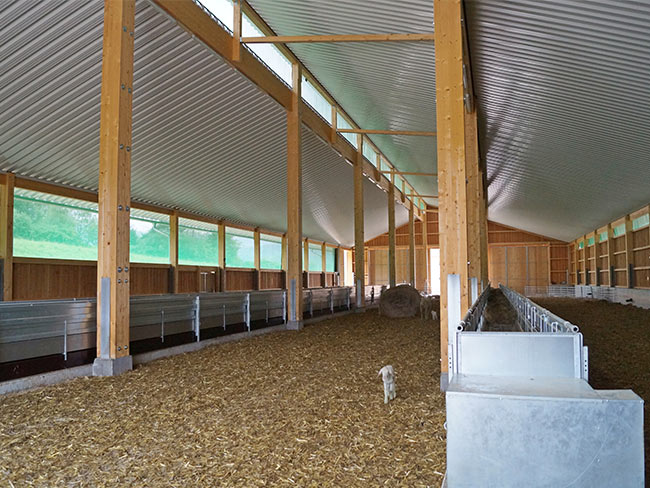 Sheddach - Futterband