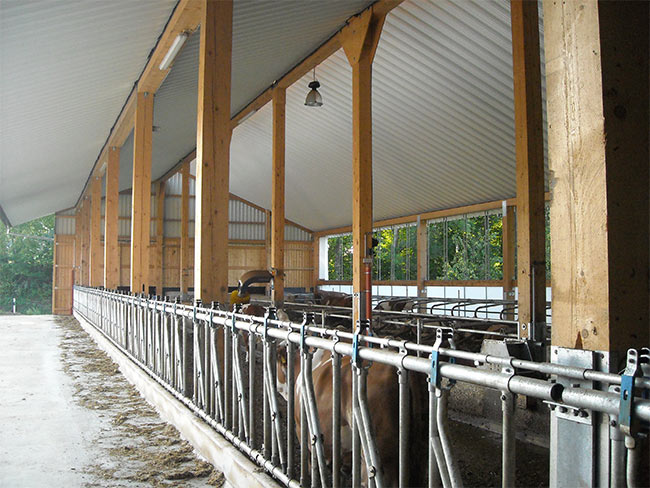Sheddach-Futtertisch-aussen