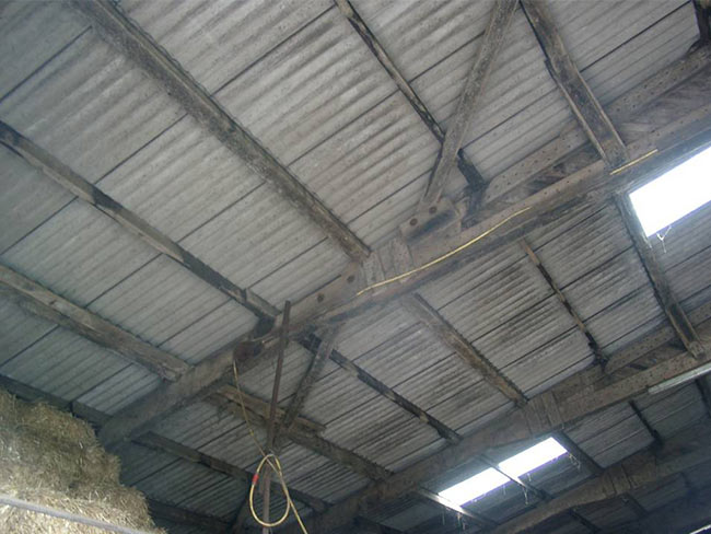 Koppelpfetten durchfeuchten und werden schwarz