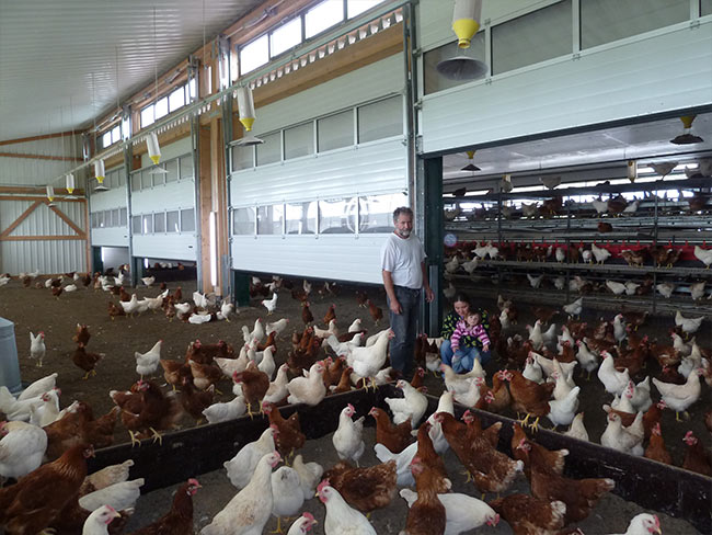 Grosser Auslauf, Öffnung mit Sekionaltoren