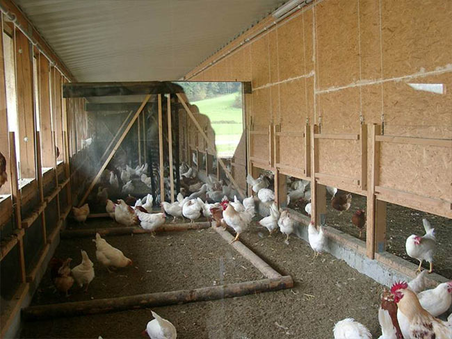 Wintergarten Ausgang mit Hubholzplatten