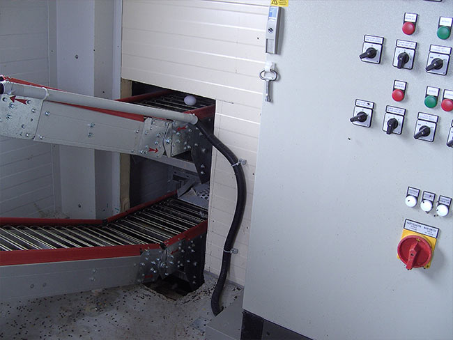 Kot- und Eierförderband