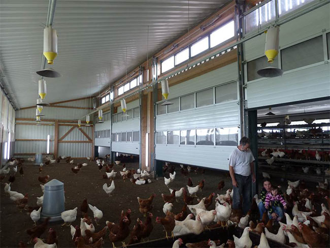 Öffnung automatisch, Fütterung vollautomatisch